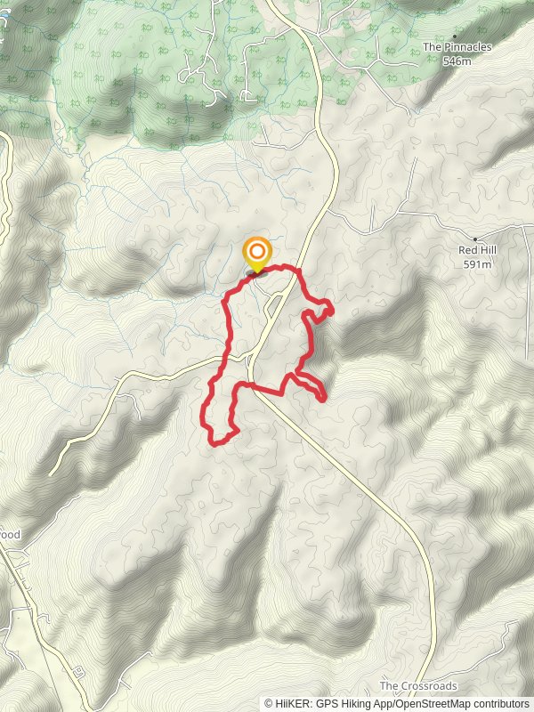 Hiking Trail and Fern Loop