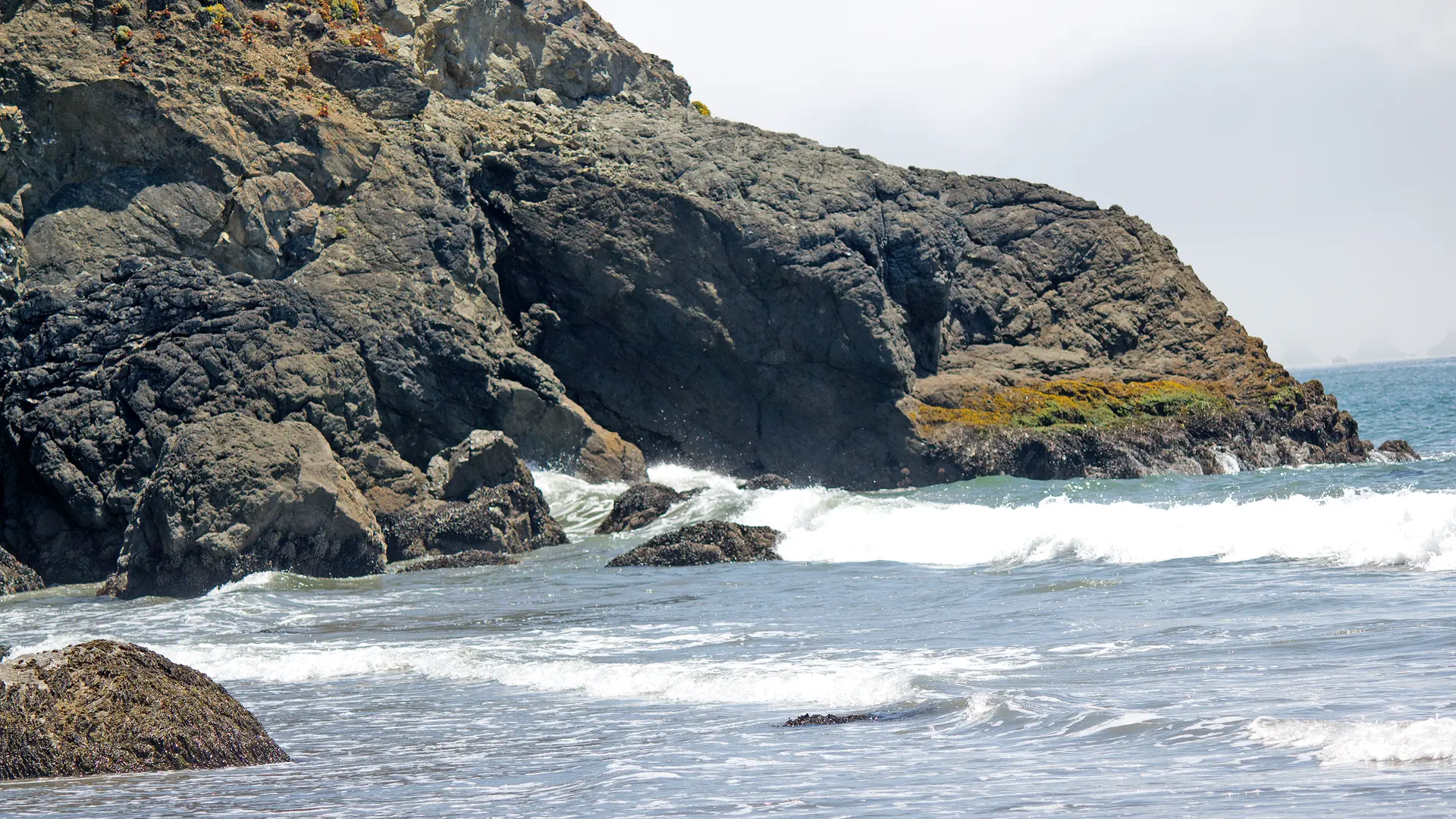 An image depicting the trail Pinnacle Gulch Trail and Gulch Trail Loop and its surrounding area.