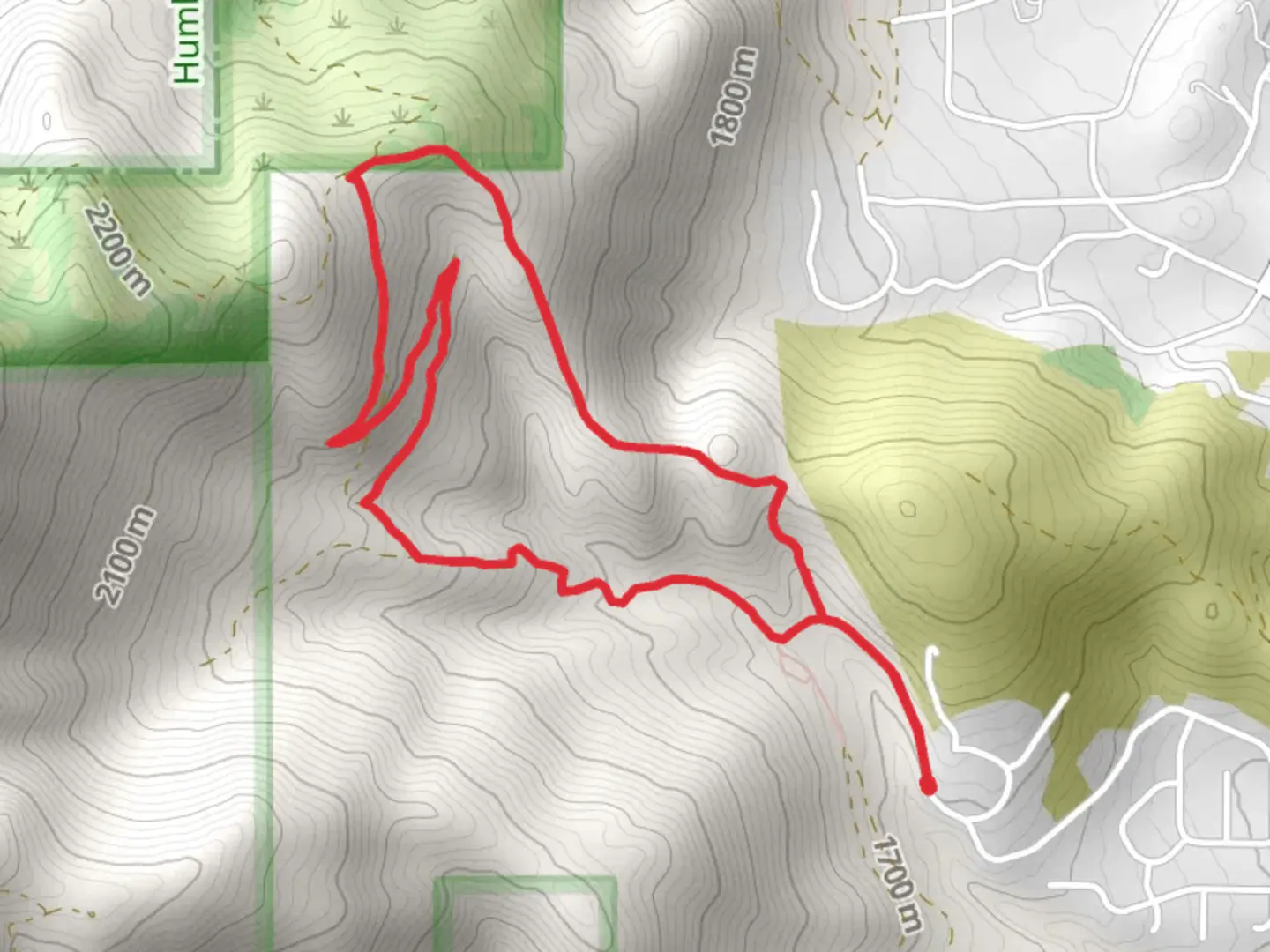 An image depicting the trail Timberline Drive Loop and its surrounding area.