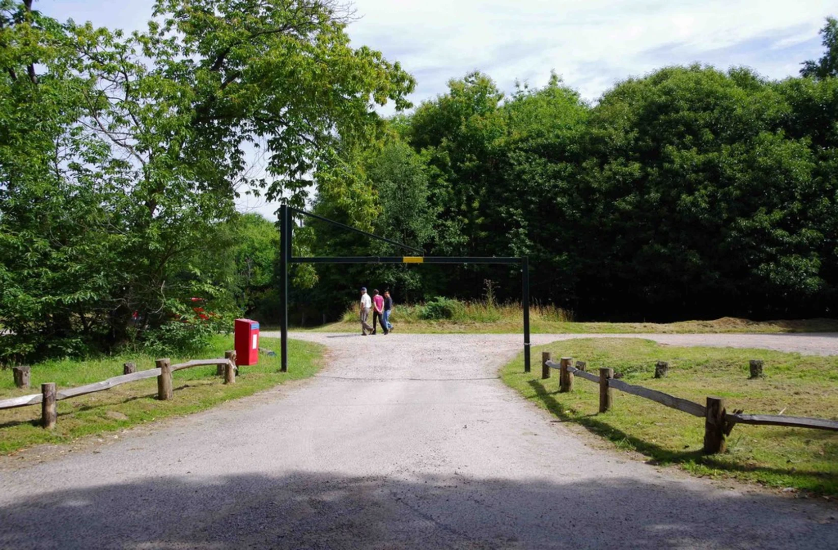 An image depicting the trail Kings Wood Loop and its surrounding area.