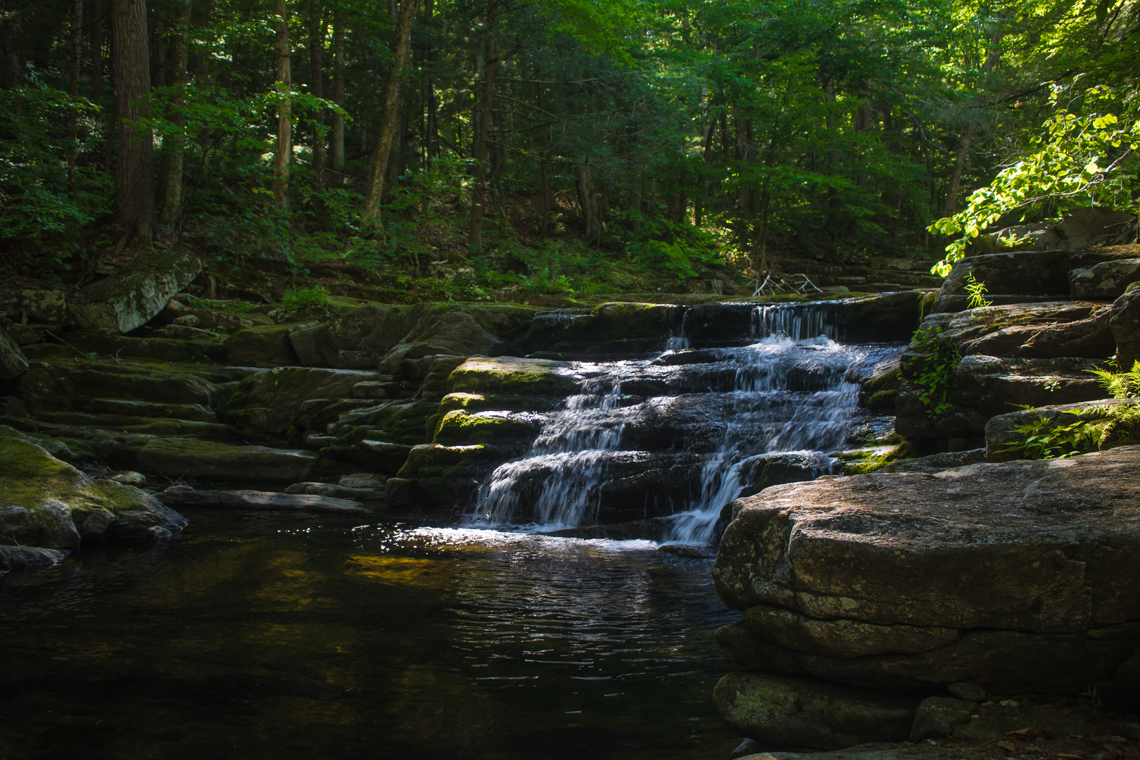 An image depicting the trail Rockingham Recreational Rail Trail - Fremont Branch and its surrounding area.