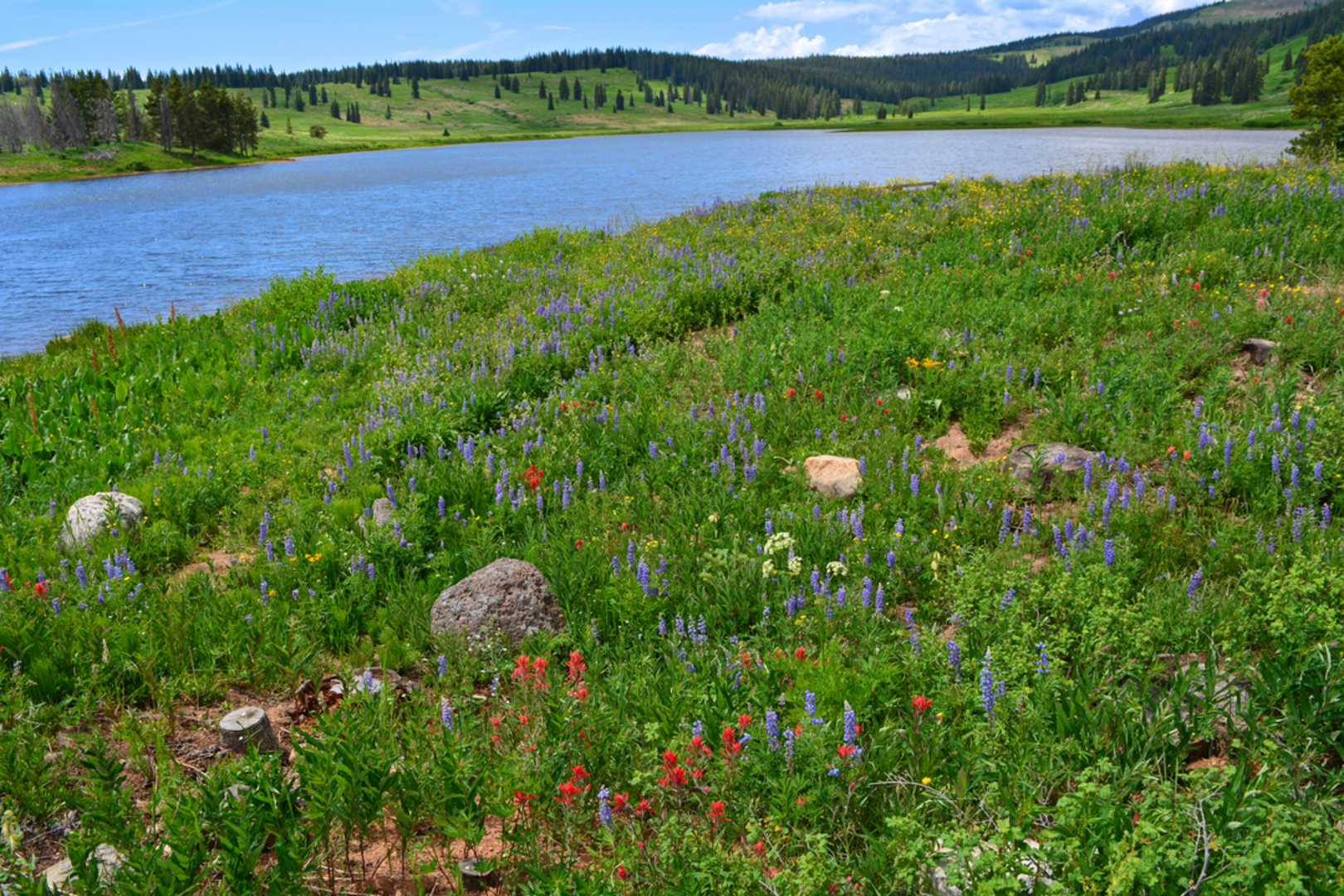 An image depicting the trail Lost Lake via Continental Divide Trail and its surrounding area.