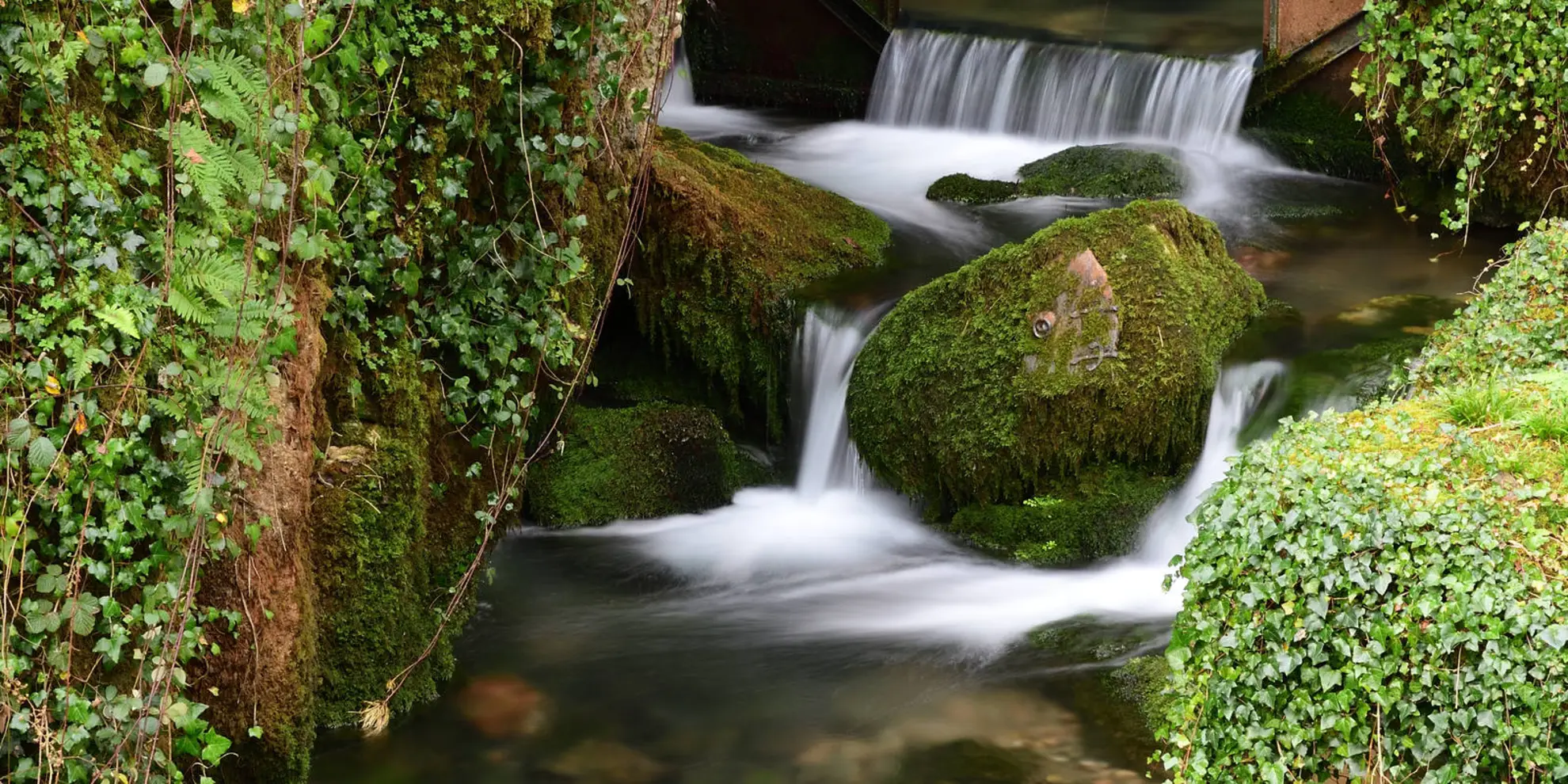 An image depicting the trail Priddy - Ebbor Gorge and Wookey Hole from Wells and its surrounding area.