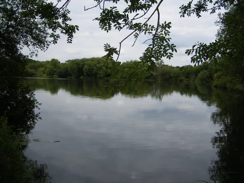 An image depicting the trail Bayhurst Wood, Harefield Lake and Harefield Place Nature Reserve via Hillingdon Trail and its surrounding area.