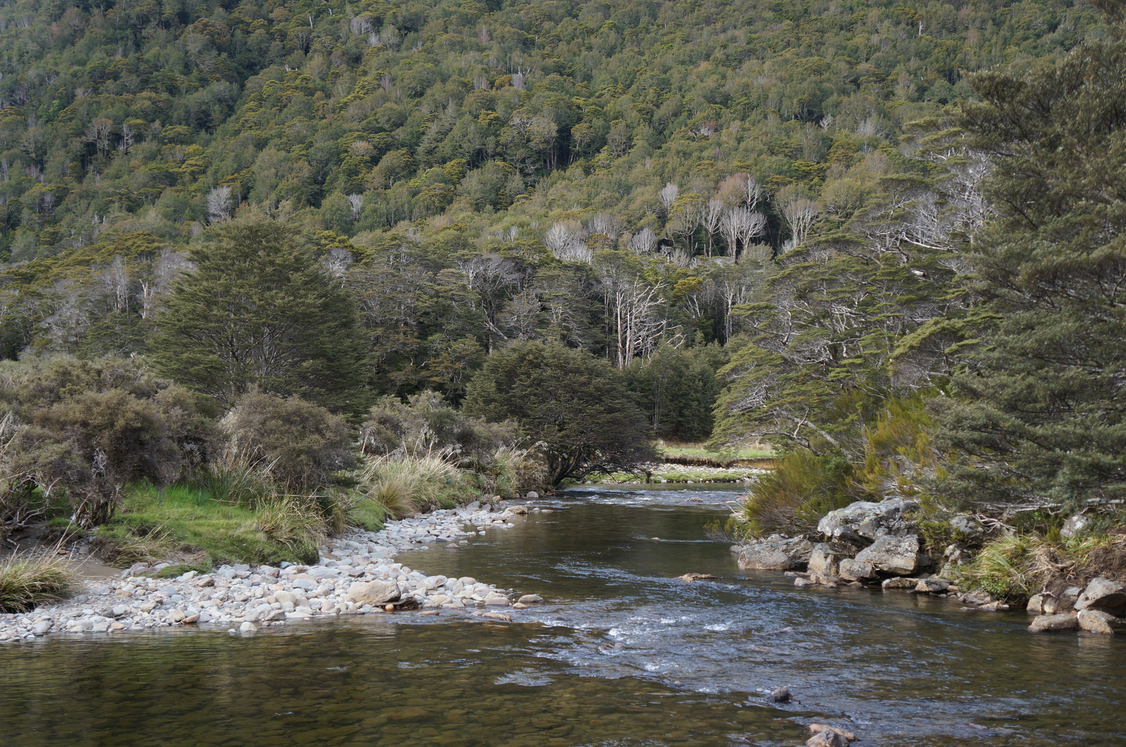 An image depicting the trail Cobb Valley Track to Fenella Hut and its surrounding area.
