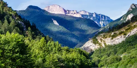 An image depicting the trail Chemin de Cluny and its surrounding area.