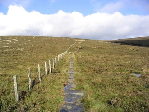 Scald Hill and The Cheviot Walk