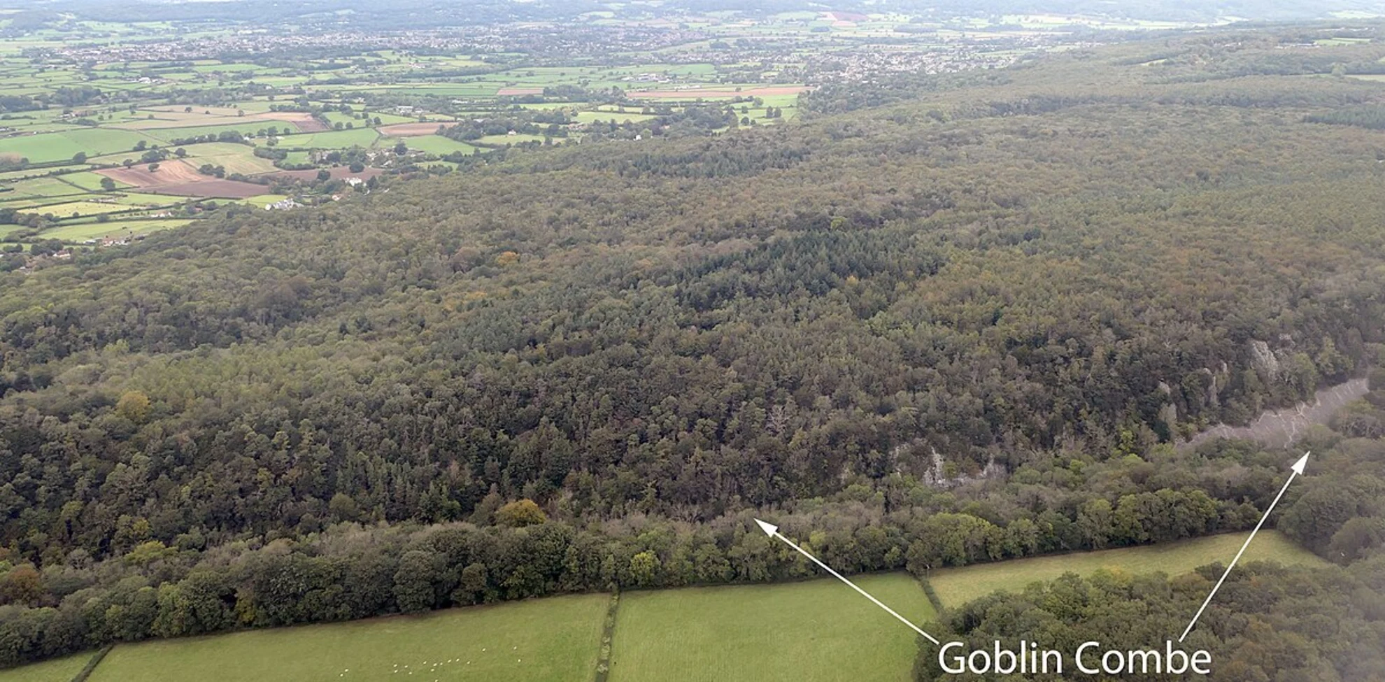 An image depicting the trail Spying Copse and Cleeve Toot Loop and its surrounding area.