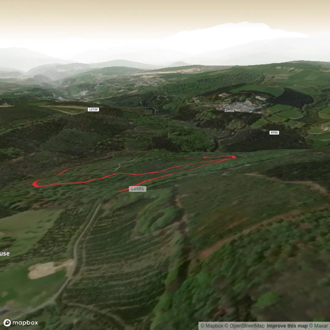 An image depicting the trail Croneybyrne Loop and its surrounding area.