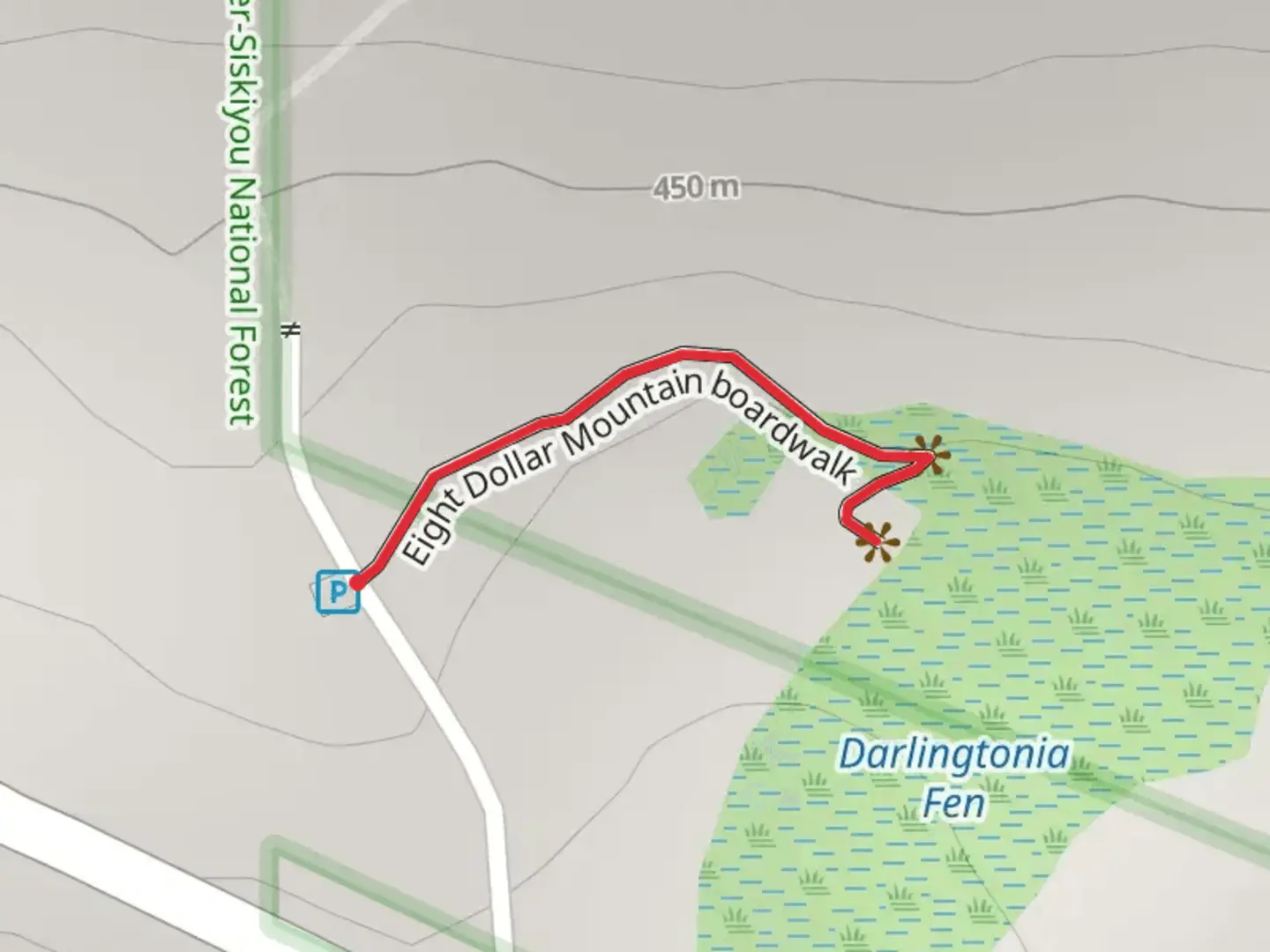 An image depicting the trail Eight Dollar Mountain Boardwalk and its surrounding area.