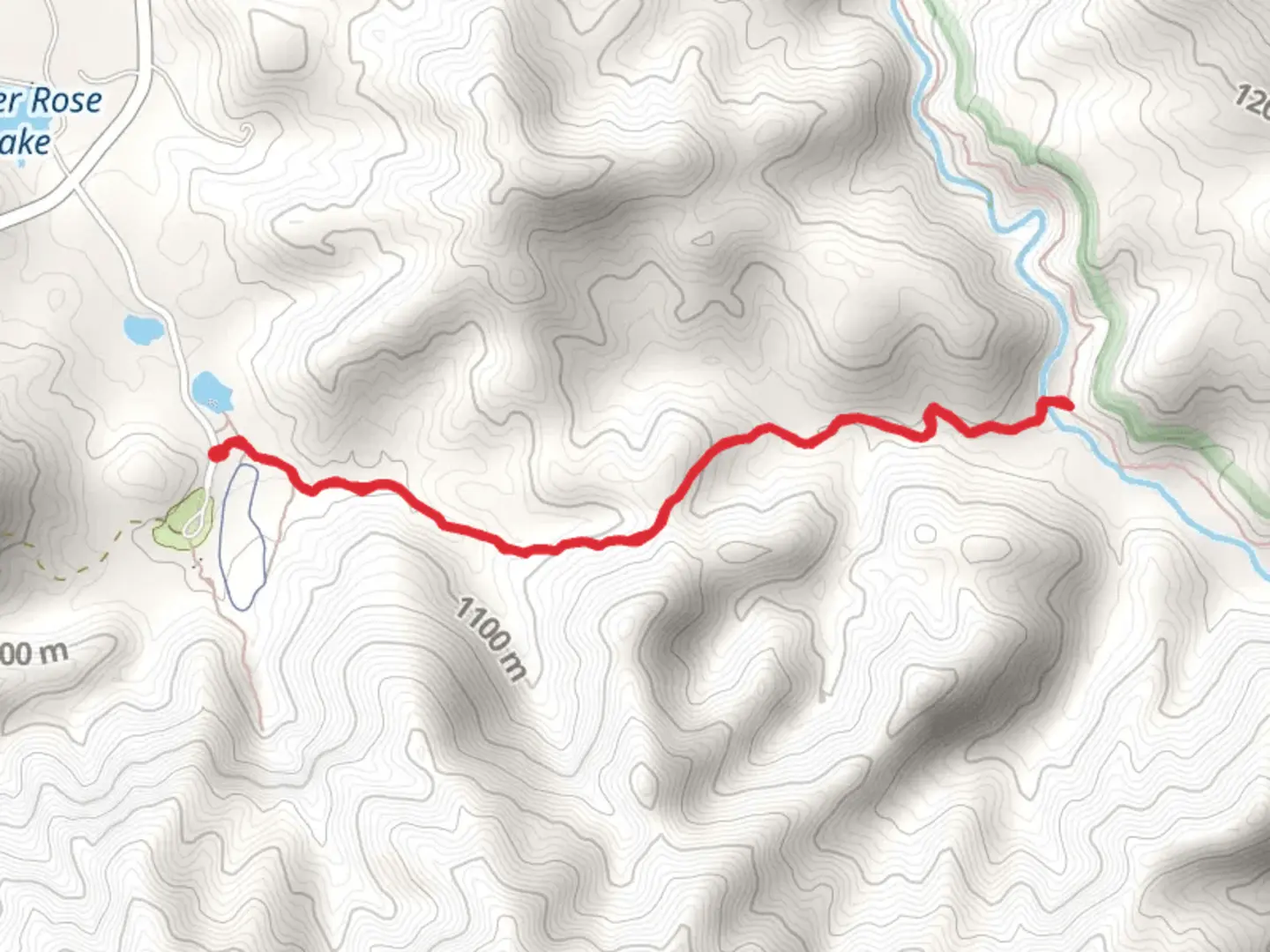 An image depicting the trail Rose Lion Trail and its surrounding area.
