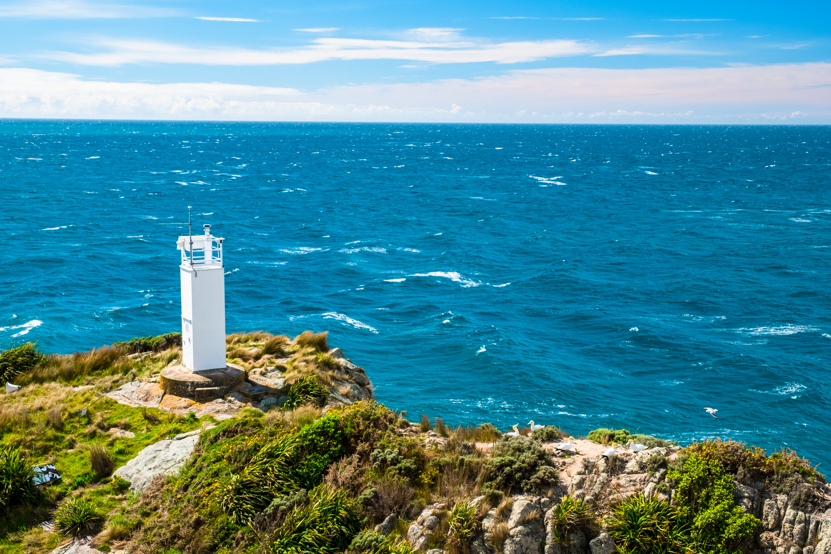 An image depicting the trail Wainui Car Park to Separation Point and its surrounding area.