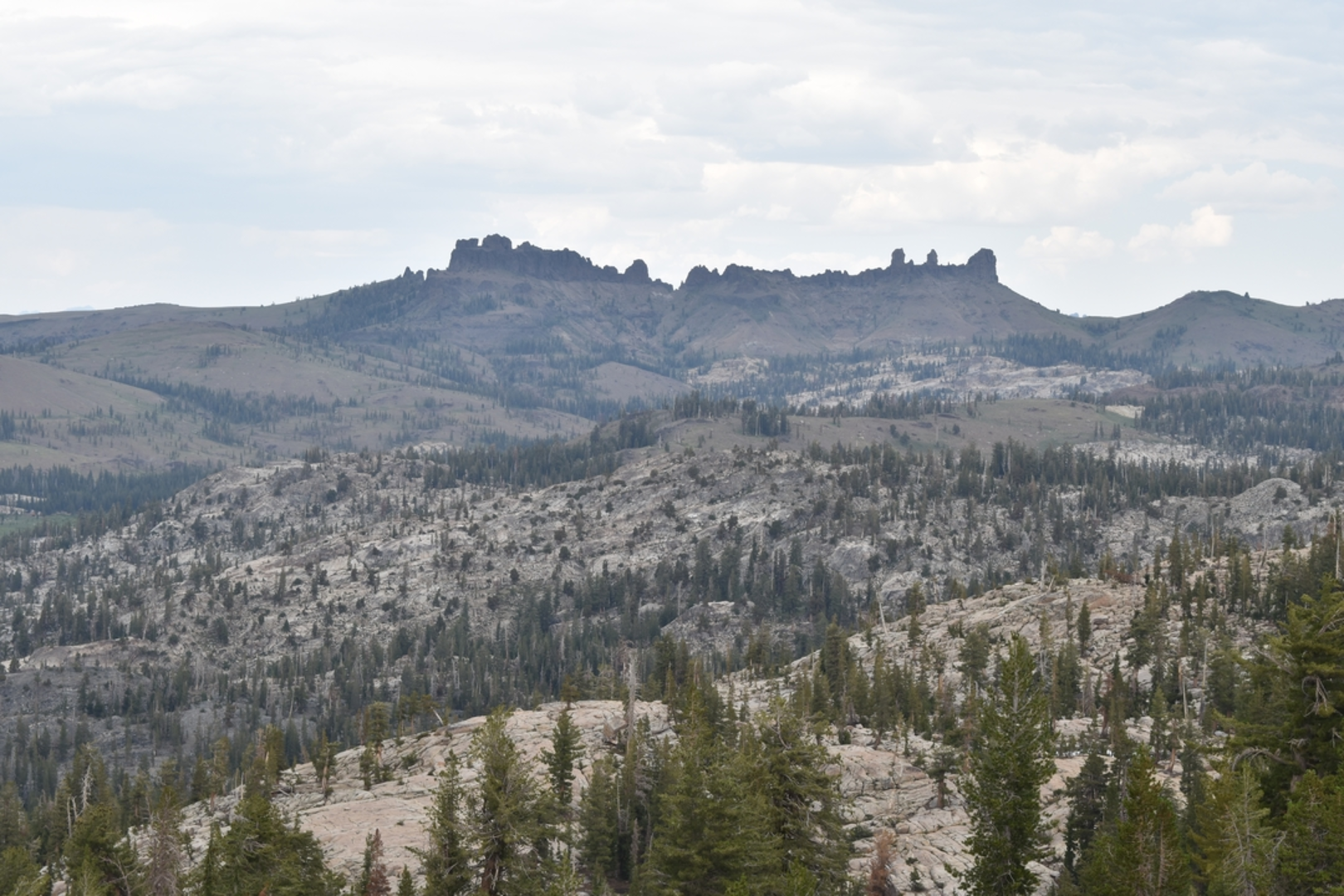An image depicting the trail Y Meadow Lake Trail and its surrounding area.