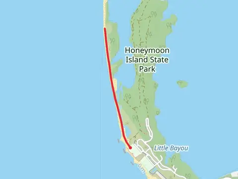 Pelican Cove and Dunedin Beach Walk