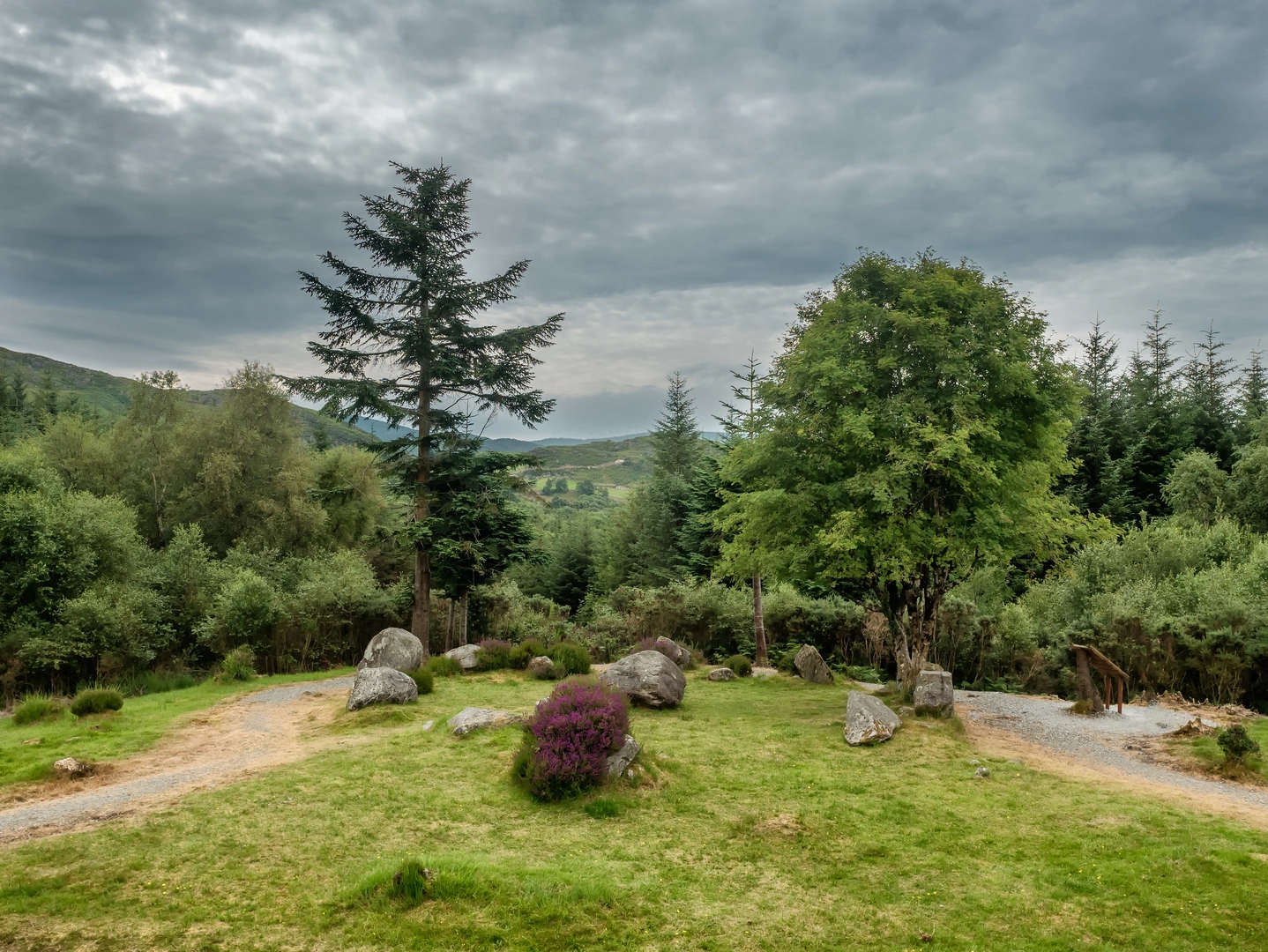 An image depicting the trail Fionn MacCool Loop - Bonane Beara and its surrounding area.