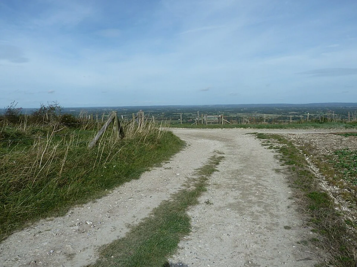 Falmer Loop