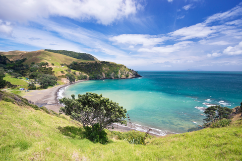 Coromandel Walkway