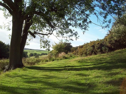 An image depicting the trail Low Bradfield and Dale Dyke from Agden Reservoir and its surrounding area.