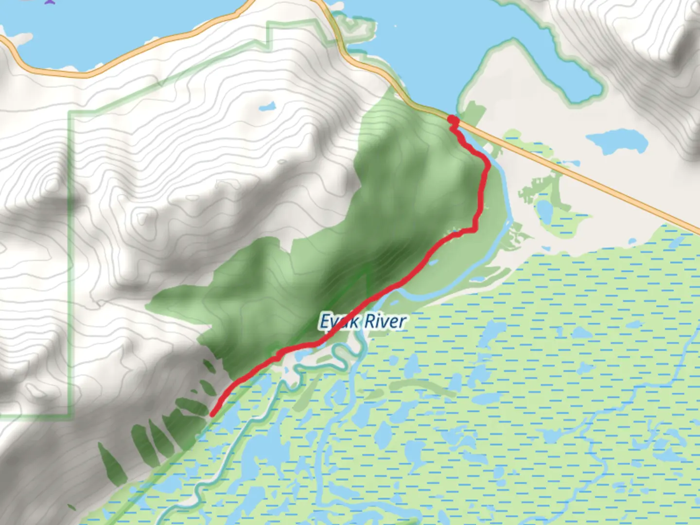 An image depicting the trail Eyak River Trail and its surrounding area.