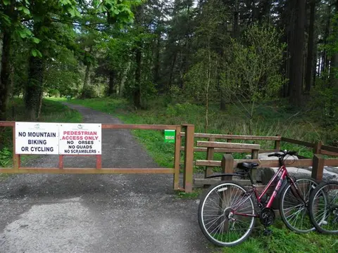 An image depicting the trail knockmany Forest - Ardunshin Lough Trail and its surrounding area.
