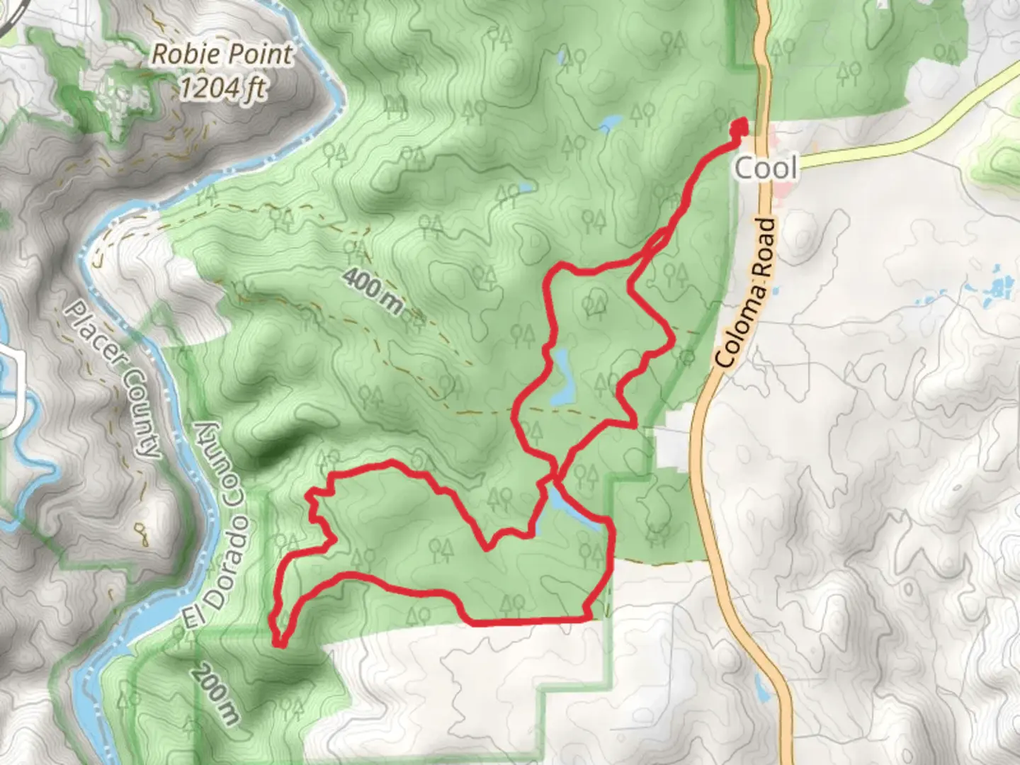 An image depicting the trail Knickerbocker Creek Loop Trail and its surrounding area.