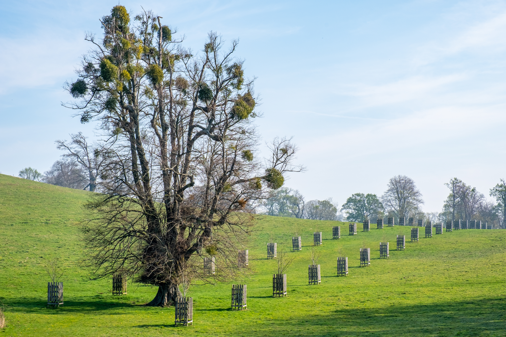 An image depicting the trail New Lipchis Way and its surrounding area.