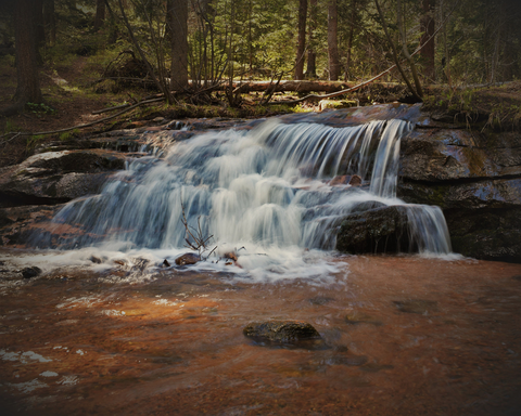An image depicting the trail Maxwell Falls Trail and its surrounding area.