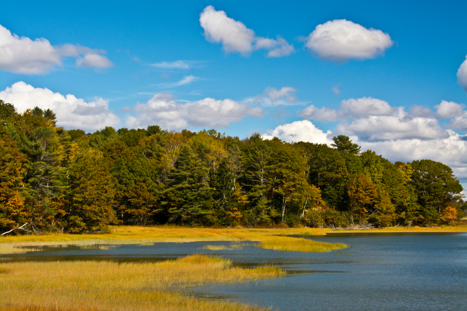 An image depicting the trail Bunganuc Road - Maquoit Bay and its surrounding area.
