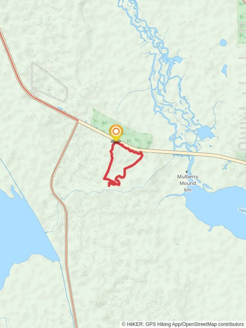 An image depicting the trail Tosohatchee WMA White Loop Trail and its surrounding area.