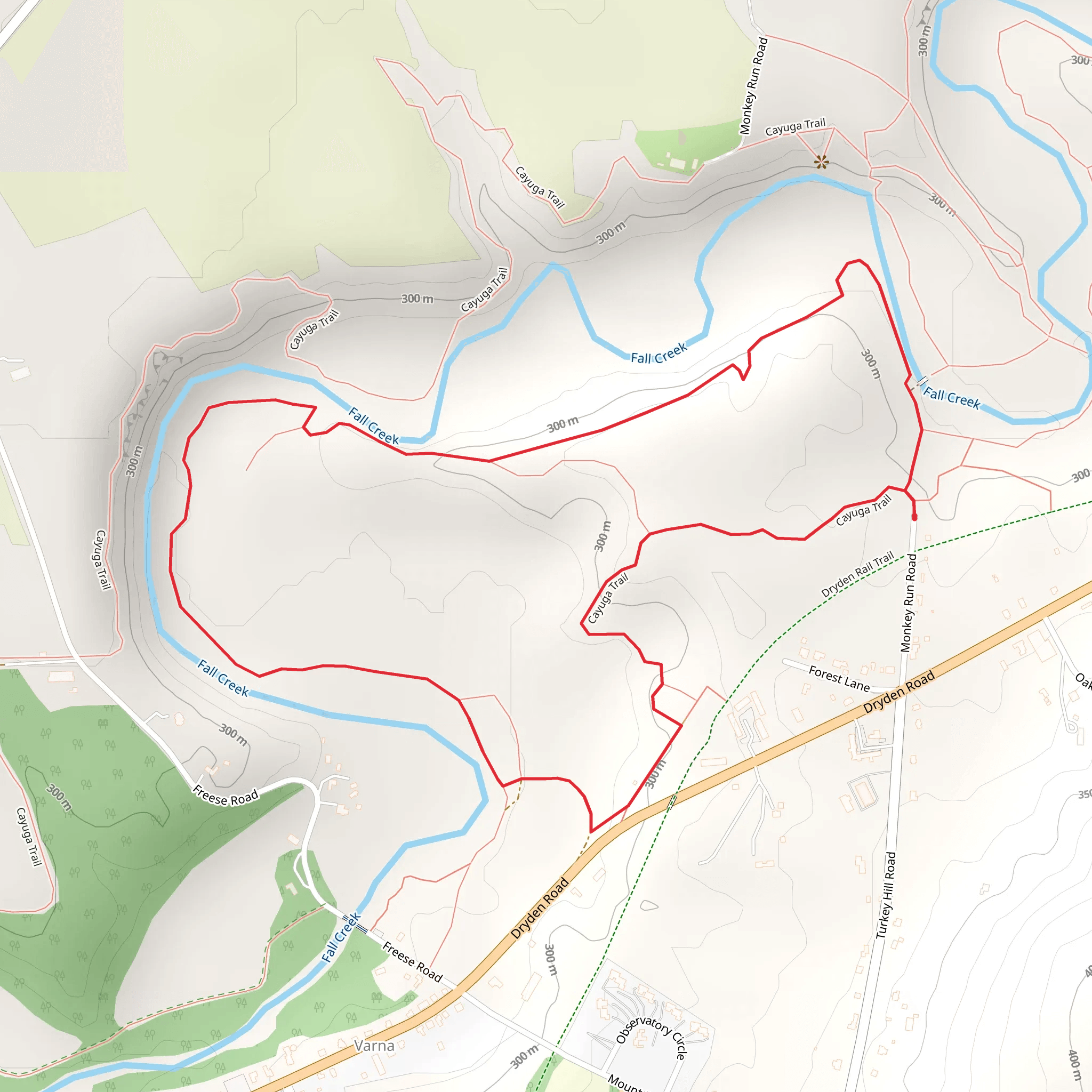 Cayuga and Fall Creek Loop Trail mobile static map
