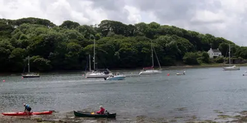 An image depicting the trail Cosheston Walk and its surrounding area.