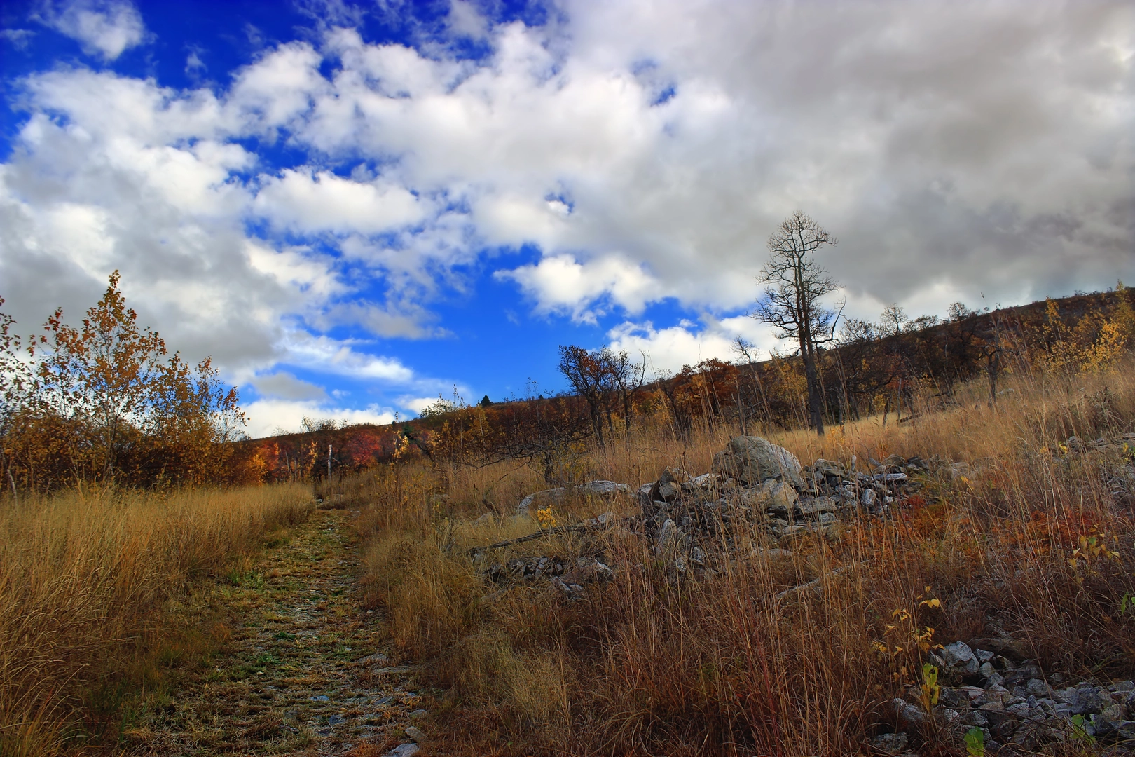 An image depicting the trail D and L Trail from Lehighton and its surrounding area.