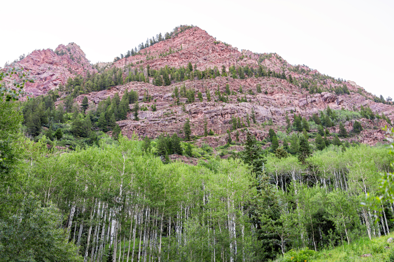 An image depicting the trail East Snowmass Trail to Willow Lake and its surrounding area.
