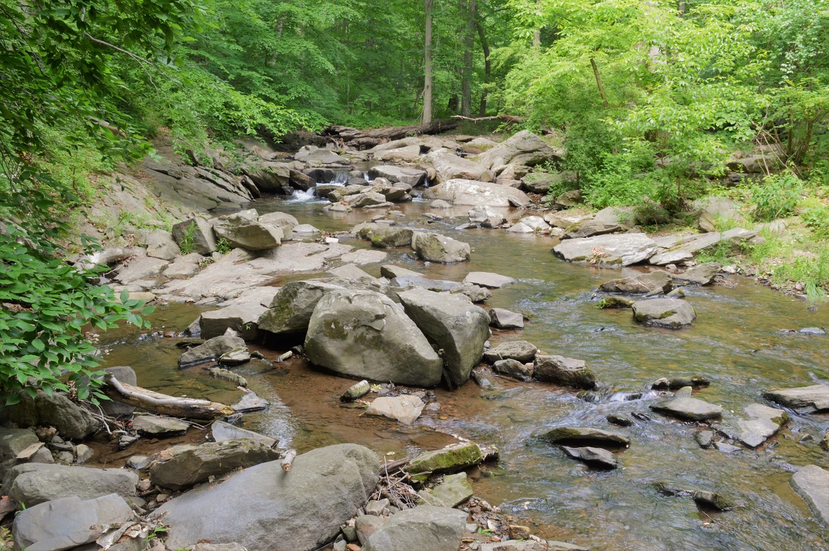 Rocky Run via Darlington Trail