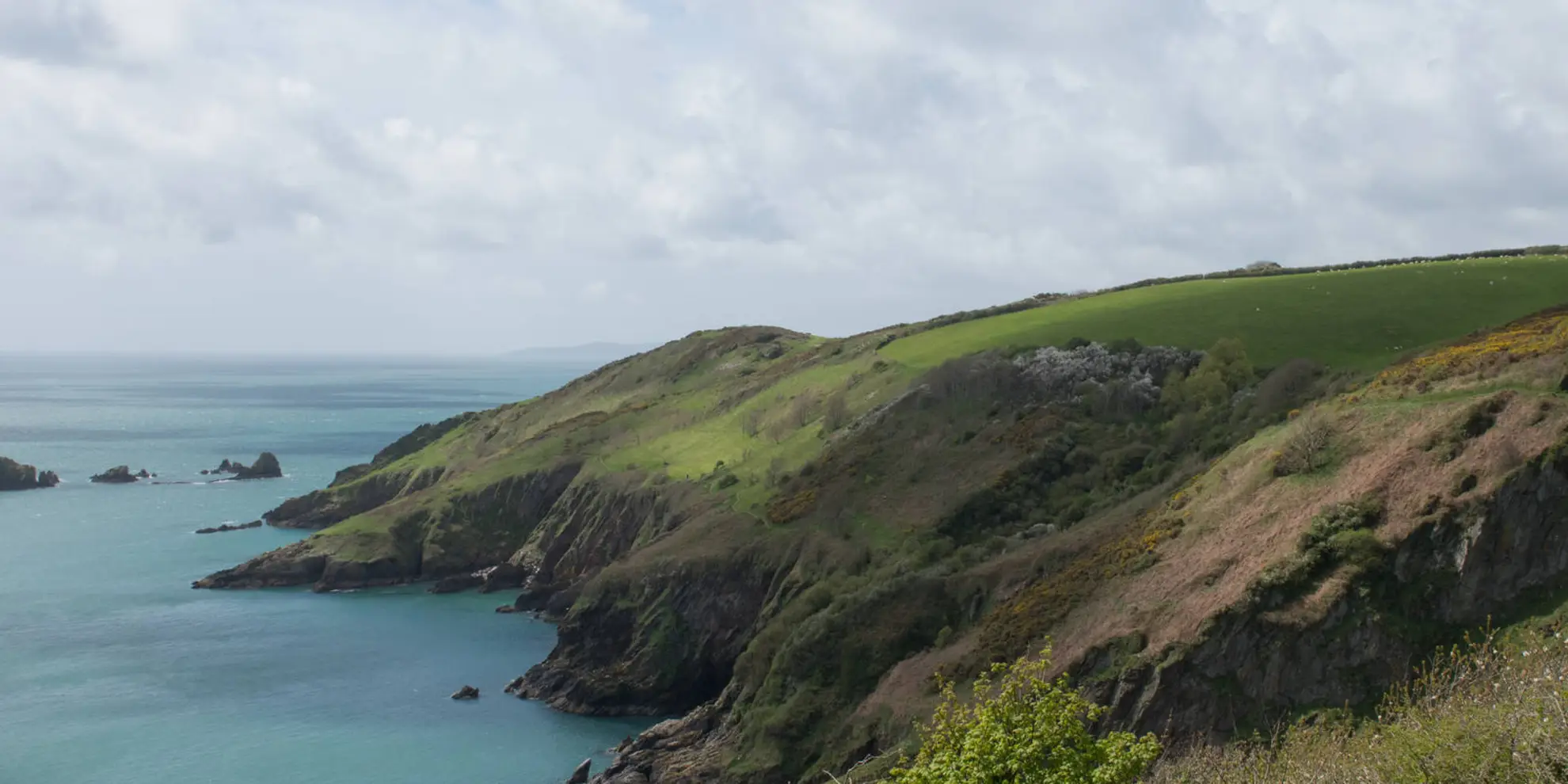 An image depicting the trail Coleton Fishacre Walk and its surrounding area.