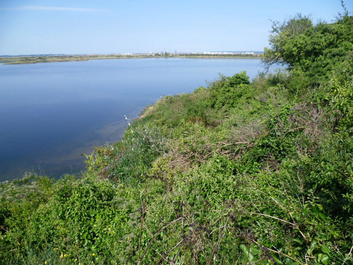 RSPB Cliffe Pools Loop