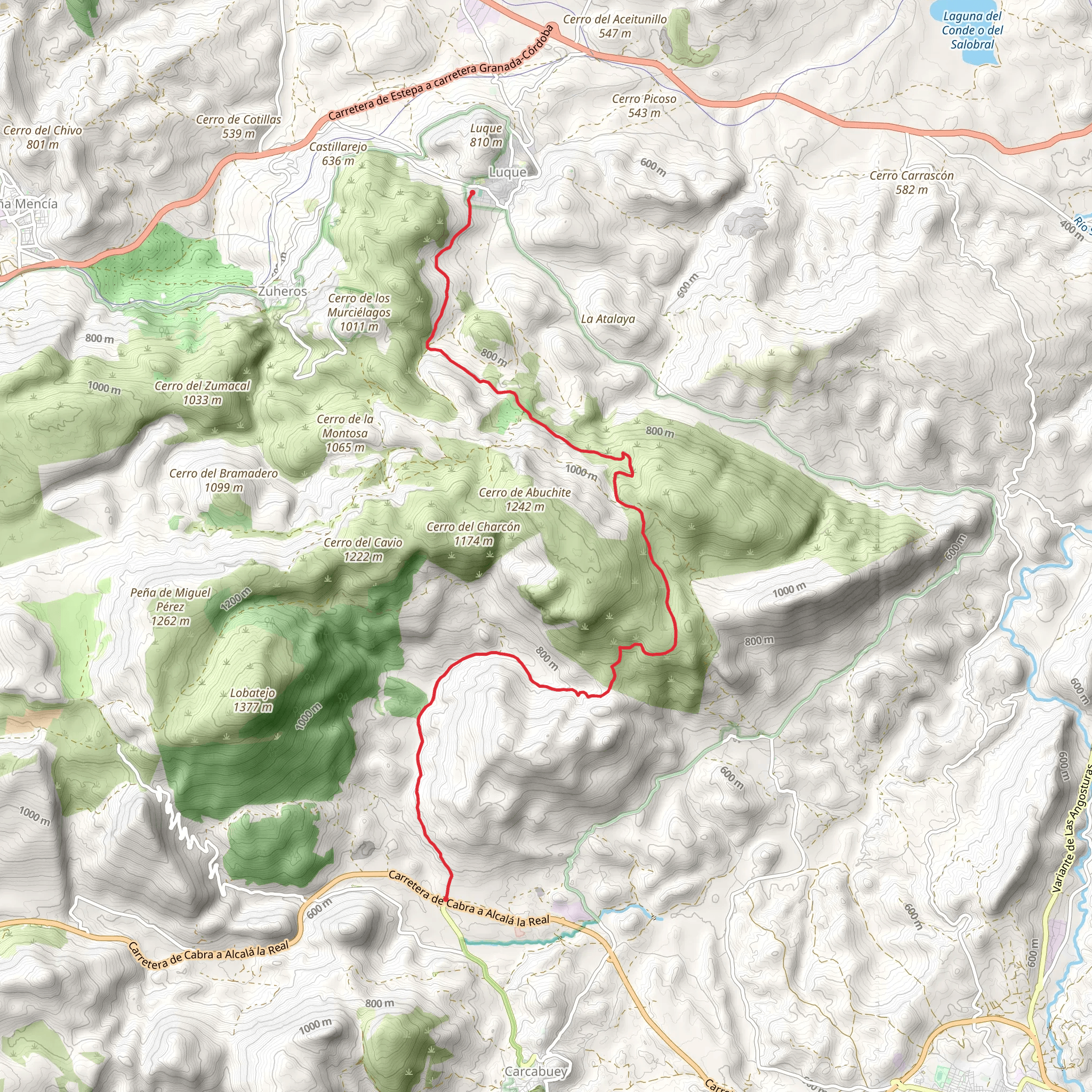 The Vultures mobile static map
