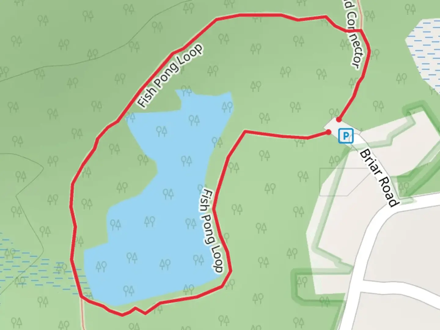 An image depicting the trail Fish Pong Loop and its surrounding area.