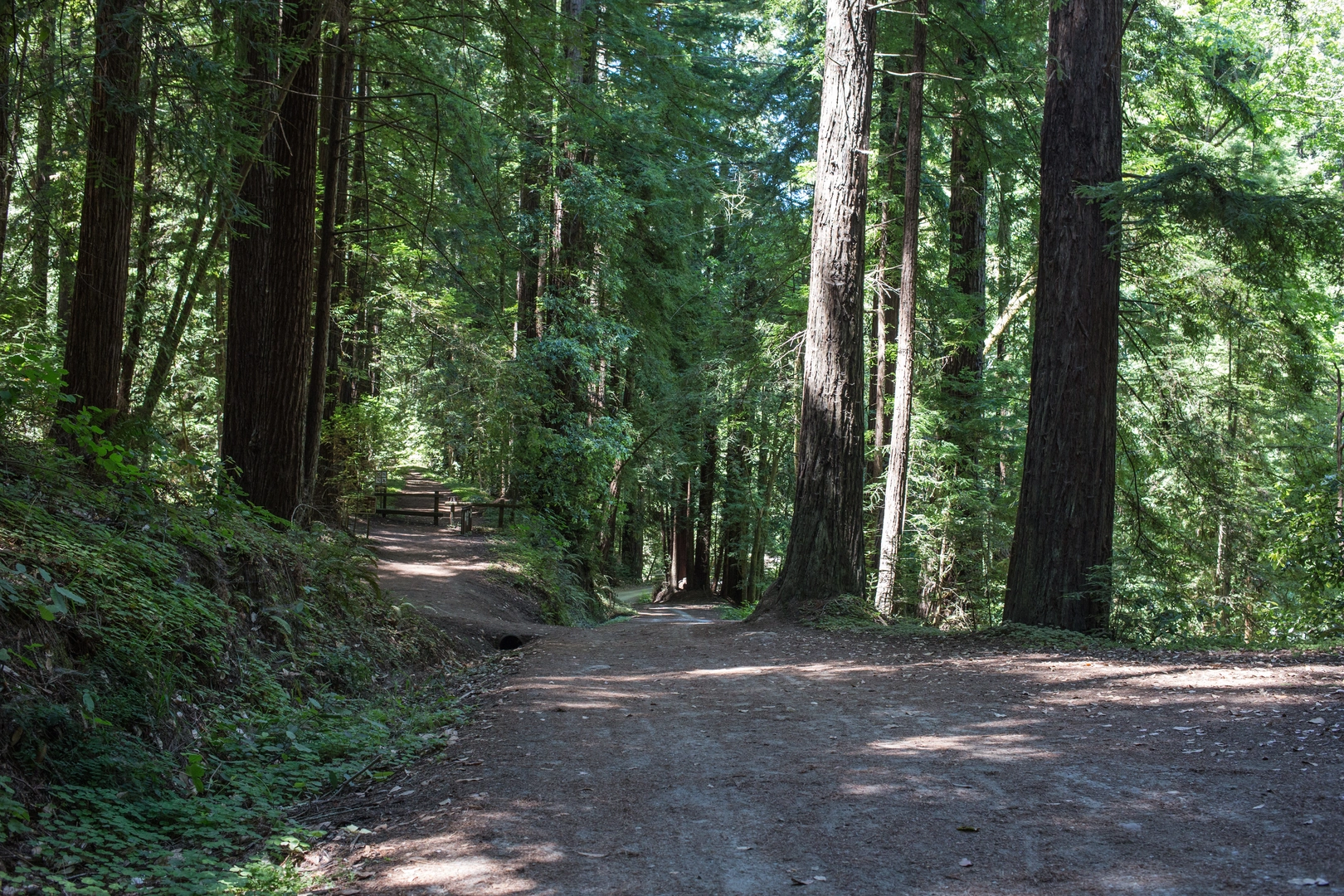 An image depicting the trail Sand Point Overlook and Lone Tree Prairie and its surrounding area.