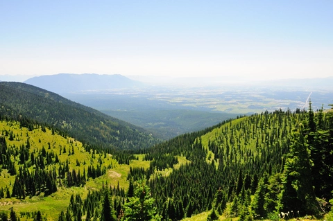 An image depicting the trail Danny On National Recreation Trail and its surrounding area.