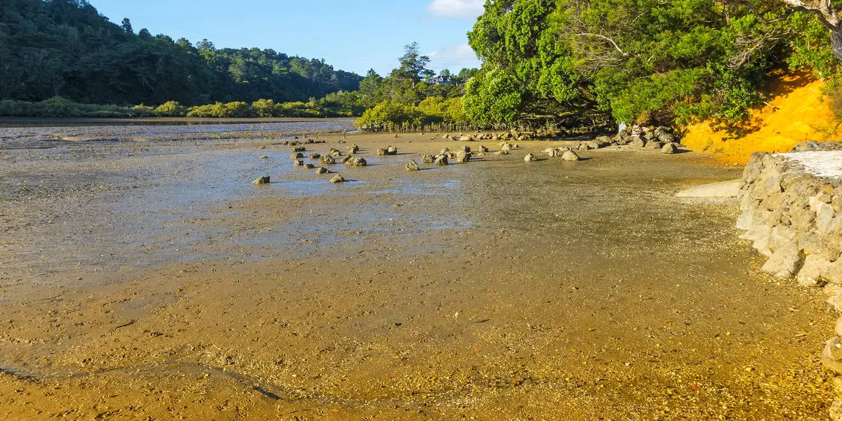 Glenfield Nature Reserves Loop