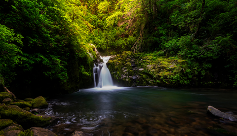 An image depicting the trail Sweet Creek Trail and its surrounding area.