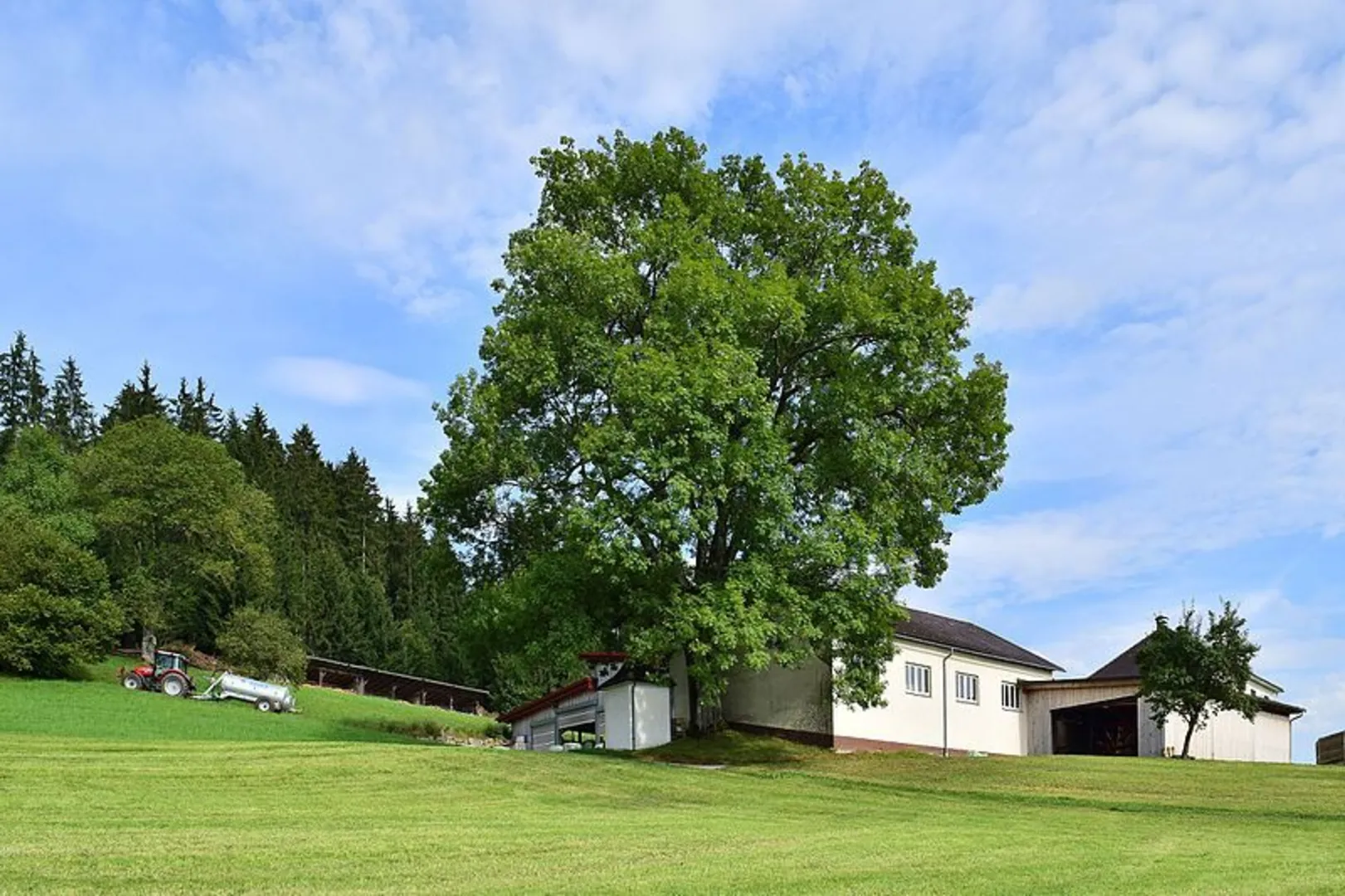 An image depicting the trail Grenzsteig Loop and its surrounding area.