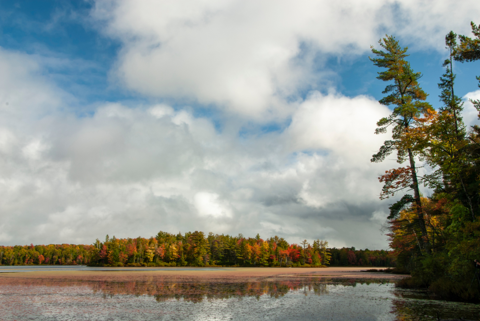 An image depicting the trail Big Island Lake Portal Trail and its surrounding area.