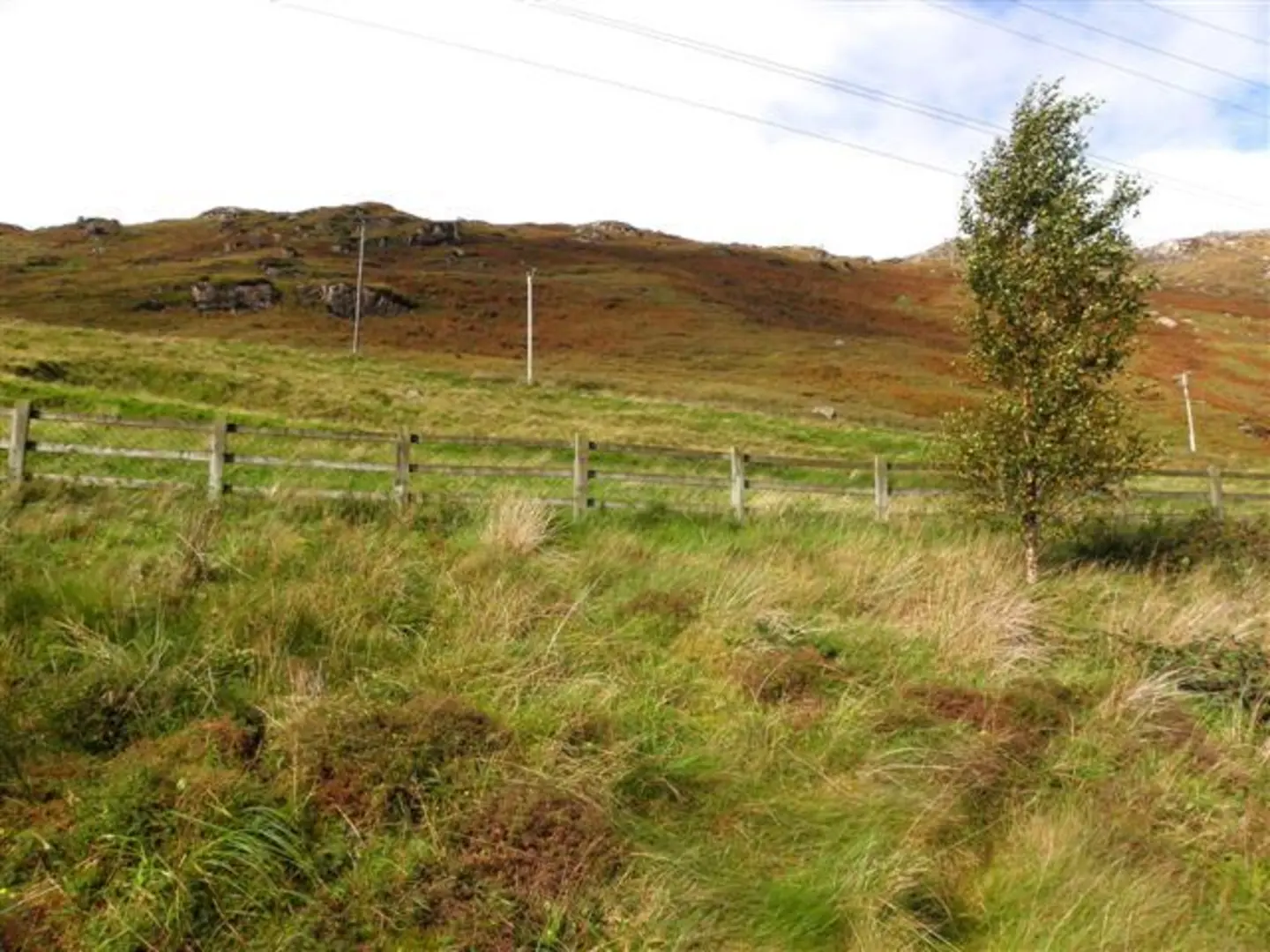 An image depicting the trail Croaghconnellagh Mountain and its surrounding area.