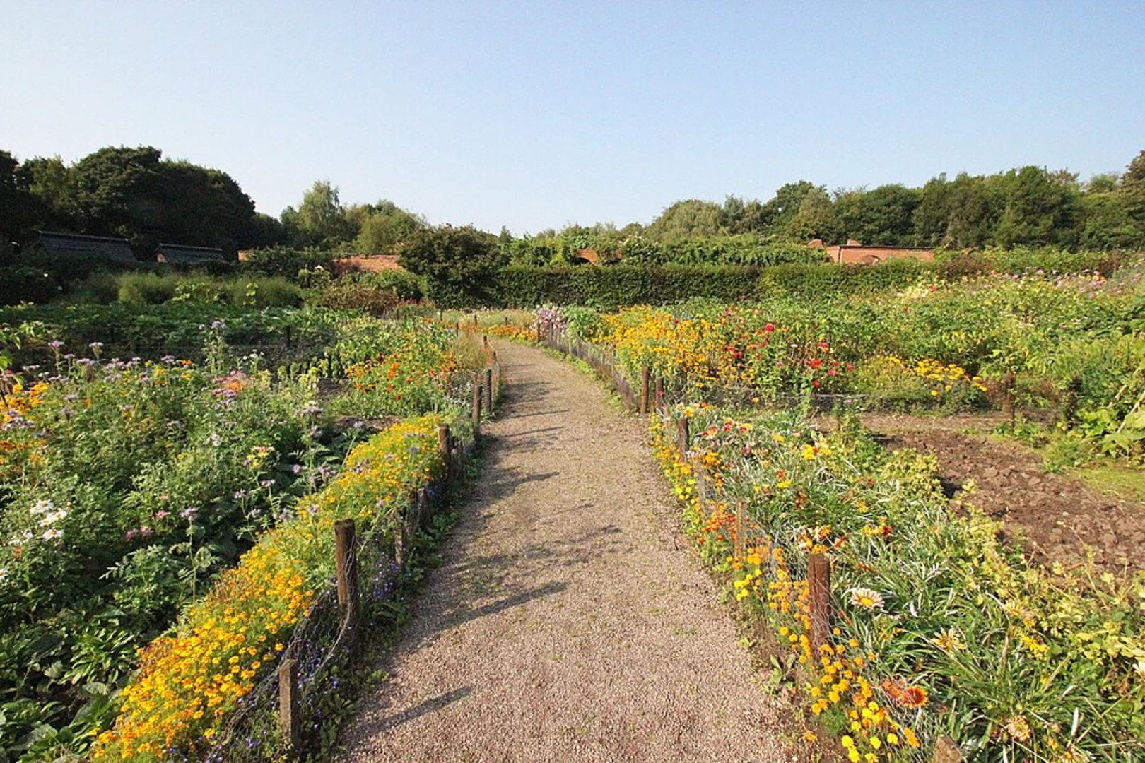 An image depicting the trail Norton Priory Walled Gardens Loop and its surrounding area.