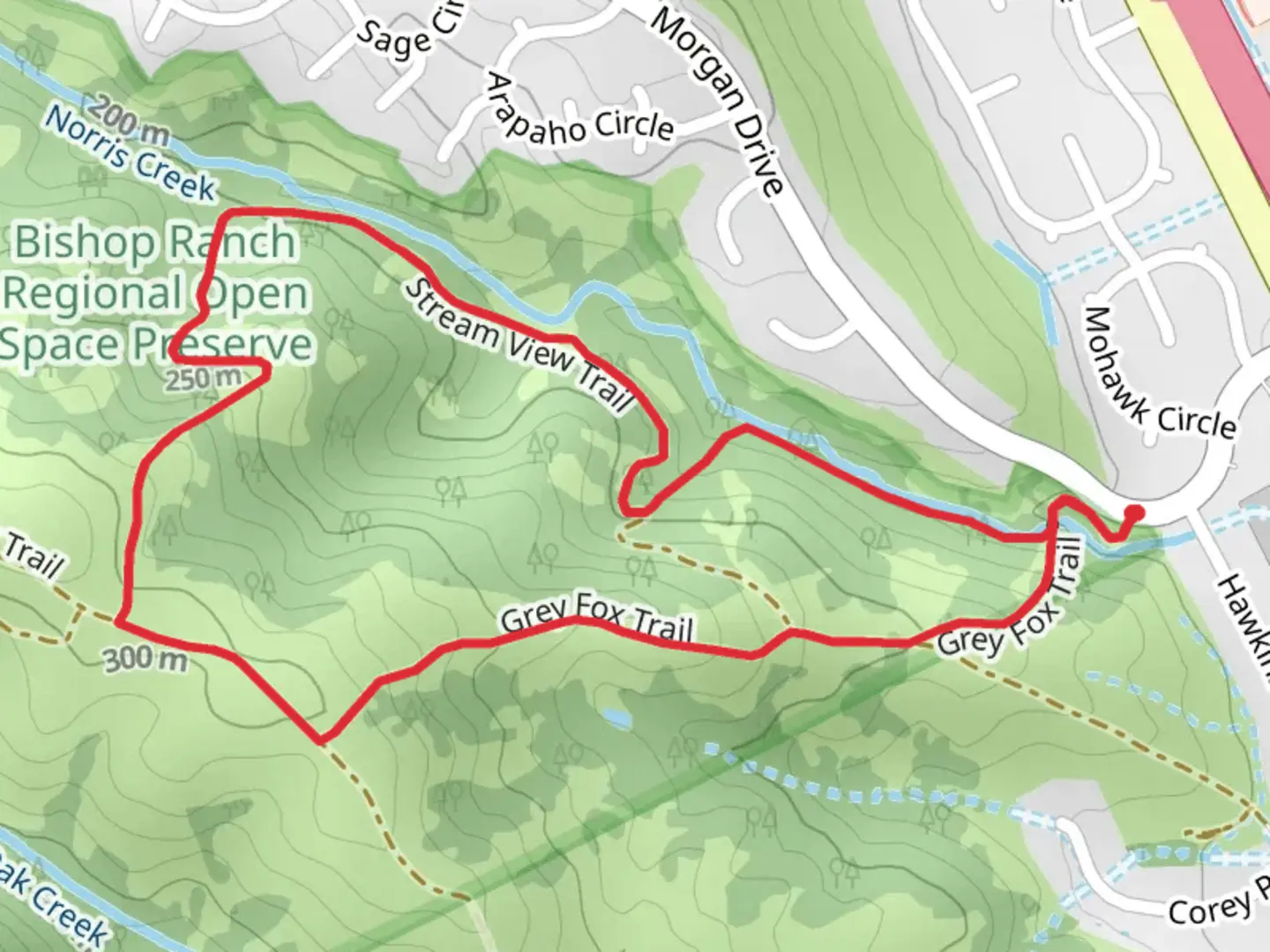 An image depicting the trail Norris Creek and Grey Fox Loop Trail and its surrounding area.