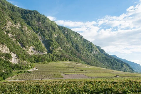 Lac de Tracouet to Haute - Nendaz Trail