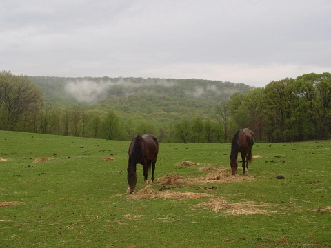An image depicting the trail Austin Mountain Trail and its surrounding area.