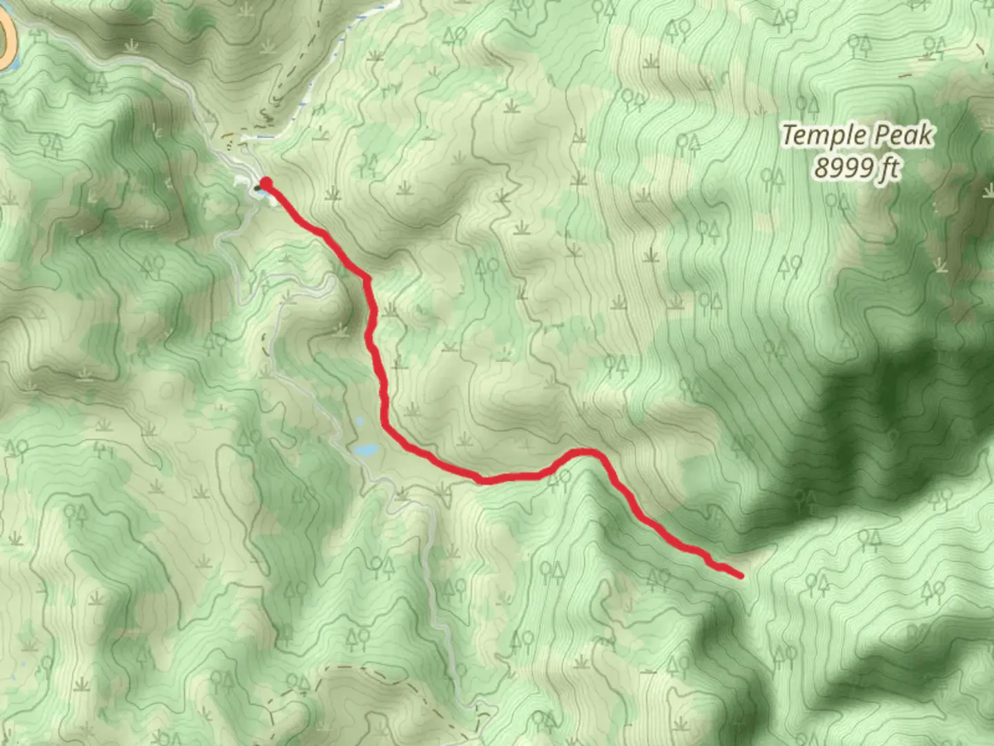An image depicting the trail Temple Fork Sawmill Trail and its surrounding area.